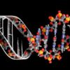 Learn DNA: Biology’s Genetic Code online by edX