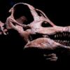 Learn Dinosaurios de la Patagonia online by edX