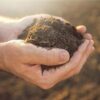 Learn El suelo en el Sistema de Siembra Directa online by edX