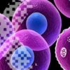 Learn Essential Human Biology: Cells and Tissues online by edX