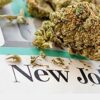 Learn General Overview of Cannabis and the Industry’s Outlook and Professions online by edX