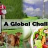 Learn Nitrogen: A Global Challenge online by edX