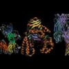 Learn Proteins: Biology's Workforce online by edX