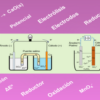Learn Reacciones de oxidación-reducción: conceptos básicos online by edX