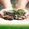 Learn Sustainable Soil Management: Soil for life online by edX