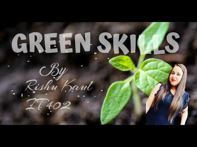 Unit 5 GREEN SKILLS || Class 9 ||CBSE IT 402|| Employability Skills- GREEN ECONOMY