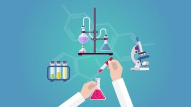 Fundamentals of Chemistry Acids and Bases | Teaching & Academics Science Online Course by Udemy