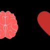 Inteligencia Emocional en Parejas | Personal Development Happiness Online Course by Udemy