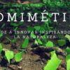 Biomimtica. Aprende a innovar inspirndote en la Naturaleza | Personal Development Creativity Online Course by Udemy