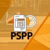 Statistik mit PSPP/PSPPIRE | Teaching & Academics Social Science Online Course by Udemy