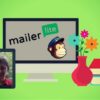 Mailchimp & Mailerlite for authors | Marketing Marketing Fundamentals Online Course by Udemy