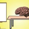Cognitive Psychology - Learning and Memory | Personal Development Memory & Study Skills Online Course by Udemy