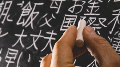 Chinestesia 2: Chino mandarn efectivo y rpido | Teaching & Academics Language Online Course by Udemy