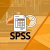 Statistik mit IBM SPSS Statistics | Teaching & Academics Social Science Online Course by Udemy