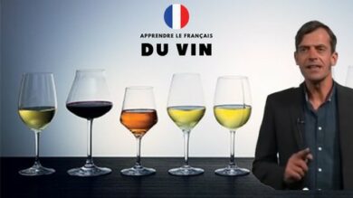 Learn French easily through wine tasting course | Teaching & Academics Language Online Course by Udemy