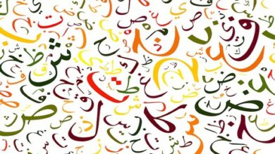 Urdu Grammar for Beginners | Teaching & Academics Language Online Course by Udemy