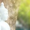 Buddhism for Beginners | Personal Development Religion & Spirituality Online Course by Udemy