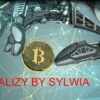 Analizy by Sylwia- poznaj kryptowaluty od A do Z | Finance & Accounting Financial Modeling & Analysis Online Course by Udemy