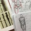 anatomyforartist | Teaching & Academics Other Teaching & Academics Online Course by Udemy