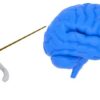 Tecniche di Brain Training | Personal Development Memory & Study Skills Online Course by Udemy