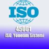 TS ISO 45001 Sal Ve Gvenlii Ynetim Sistemi | Teaching & Academics Engineering Online Course by Udemy
