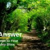 The Answer - Literal Steps to Your Relationship Bliss | Personal Development Parenting & Relationships Online Course by Udemy