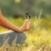 Meditation for Well-being | Personal Development Stress Management Online Course by Udemy