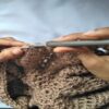 Beginner Crochet Course | Personal Development Creativity Online Course by Udemy