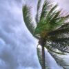 Meterology 101: Hurricane Preparedness | Teaching & Academics Science Online Course by Udemy