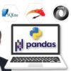Python Data Science with Pandas: Master 12 Advanced Projects | Finance & Accounting Finance Online Course by Udemy