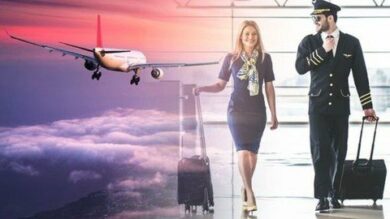 Aviation: How to Become An Air Hostess/Cabin Crew? | Personal Development Career Development Online Course by Udemy