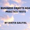 SAP BusinessObjects Roambi by Dixita Galiyal | Teaching & Academics Test Prep Online Course by Udemy