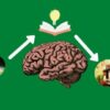 Aprender Melhor e Mais Rpido com a PRTICA DELIBERADA | Personal Development Memory & Study Skills Online Course by Udemy