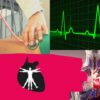 Fisiologia do Sistema Cardiorrespiratrio | Teaching & Academics Science Online Course by Udemy