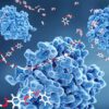 Nanotecnologa: nuevas terapias contra el cncer | Teaching & Academics Science Online Course by Udemy