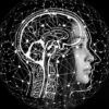 Neurociencia Prctica Para Todos | Personal Development Personal Transformation Online Course by Udemy