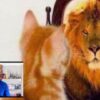 Comment rveiller le lion qui sommeille en vous | Personal Development Motivation Online Course by Udemy