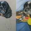 Draw a Realistic Dog Portrait | Personal Development Creativity Online Course by Udemy