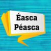 asca Pasca | Teaching & Academics Language Online Course by Udemy