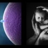 Understanding Human reproduction | Teaching & Academics Science Online Course by Udemy
