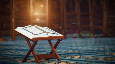 Qaida Noorania learning the reading of quran (Egyptian) | Teaching & Academics Language Online Course by Udemy