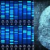 DNA and Fingerprint Evidence & Identification | Teaching & Academics Online Education Online Course by Udemy