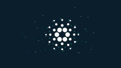 Basics of Cardano & Blockchain Course | Finance & Accounting Cryptocurrency & Blockchain Online Course by Udemy