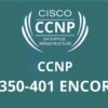 CCIE/CCNP Enterprise 350-401 ENCOR Dumps with Explanation | Teaching & Academics Test Prep Online Course by Udemy