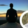 Meditation for Beginners. Without the Fluff! | Personal Development Stress Management Online Course by Udemy