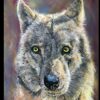 Draw a Wolf's Head With Pastel Pencils | Personal Development Creativity Online Course by Udemy