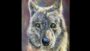 Draw a Wolf's Head With Pastel Pencils | Personal Development Creativity Online Course by Udemy