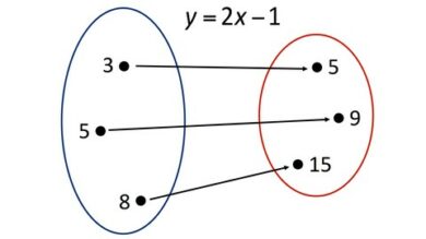 The Basics of Relations and Functions | Teaching & Academics Math Online Course by Udemy