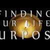 Purpose Search 
