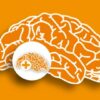 Gehirnmanagement & Wahrnehmung erweitern via NEURONprocessor | Personal Development Creativity Online Course by Udemy